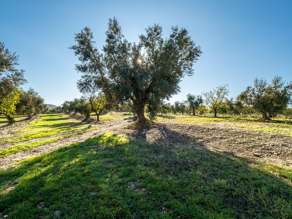 191130_MaialsOli (359a)_HDR (1)-HDR